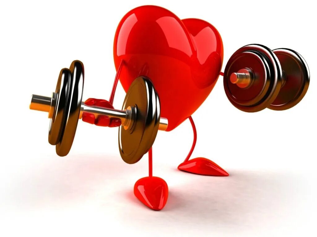 Тренированность сердца. Тренировка сердца. Тренированное сердце. Сердце с гантелей.