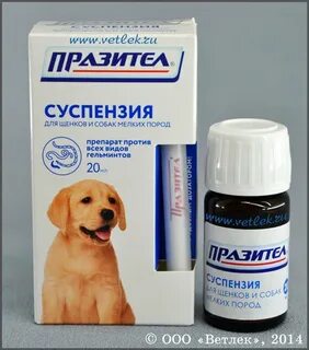 Празител для щенков