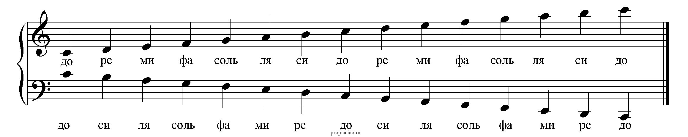 Ре ля ка. Скрипичный и басовый ключ расположение нот. Ноты басового ключа с подписями. Басовый ключ Ноты. Название нот в скрипичном и басовом Ключе.
