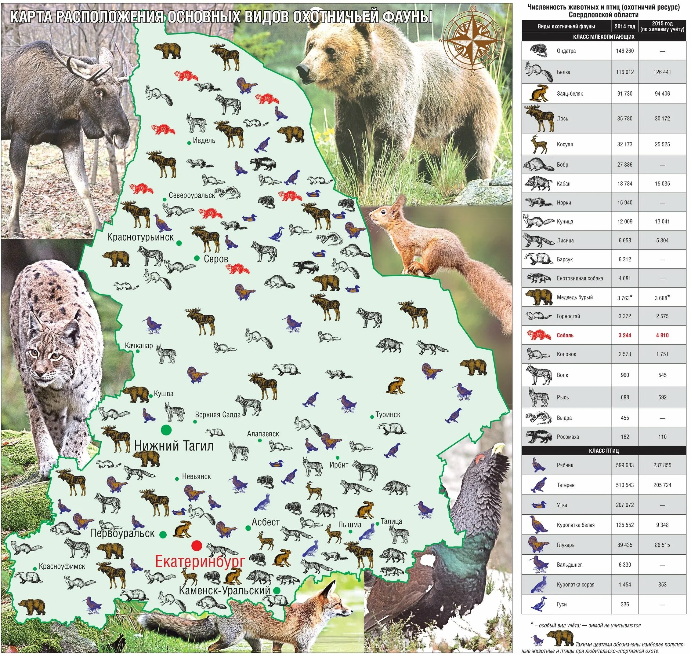 Карта обитания животных в Свердловской области. Карта животных Свердловской области. Животный мир Свердловской области карта. Карта растений и животных Свердловской области. Екатеринбург какие животные