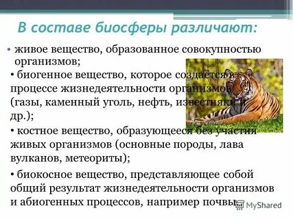 Совокупность всех живых организмов биосферы это