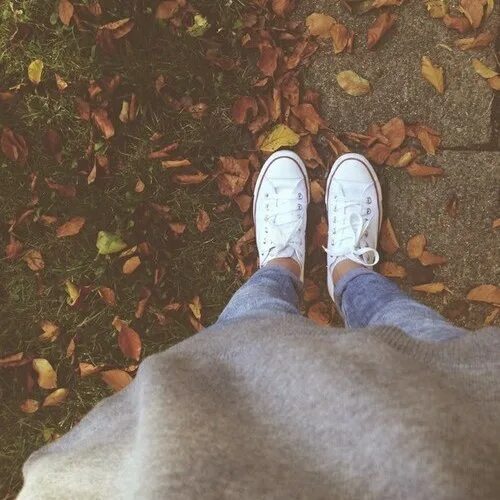 Legs Autumn Leaves Stock Images - Download 3,609 Royalty Free Photos