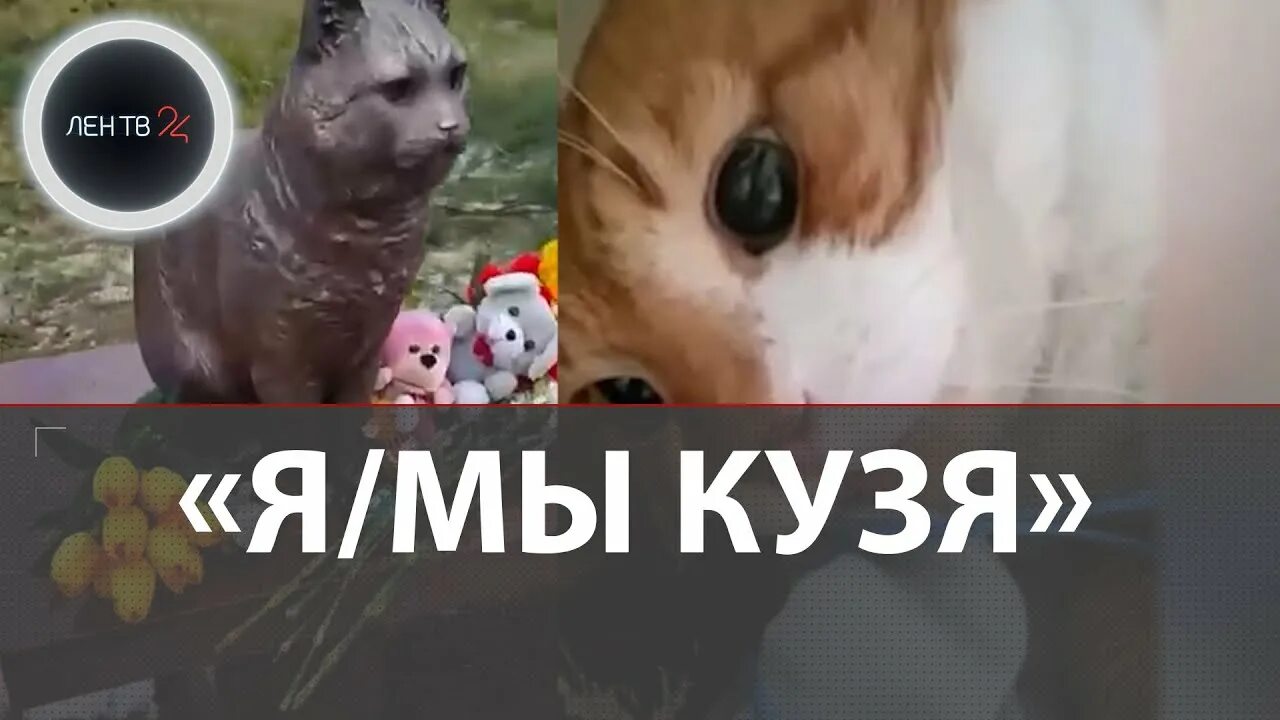 почти домашний кот Кузя - natalyasand - LiveJournal
