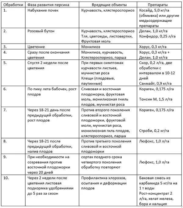 Весенняя обработка персика