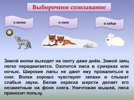 Охота на лисицу слова