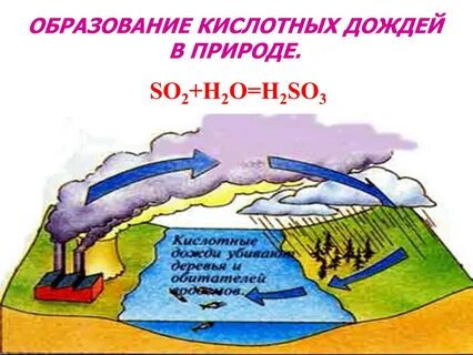 Как образуются кислотные осадки
