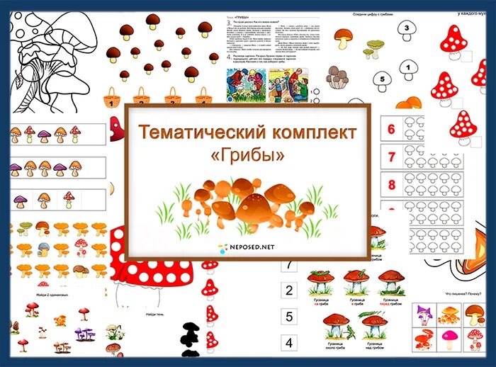 Тематическая тема грибы. Тематическая тема грибы. Задания для дошколят грибы. Тематическая тема грибы. Тематическая тема грибы.