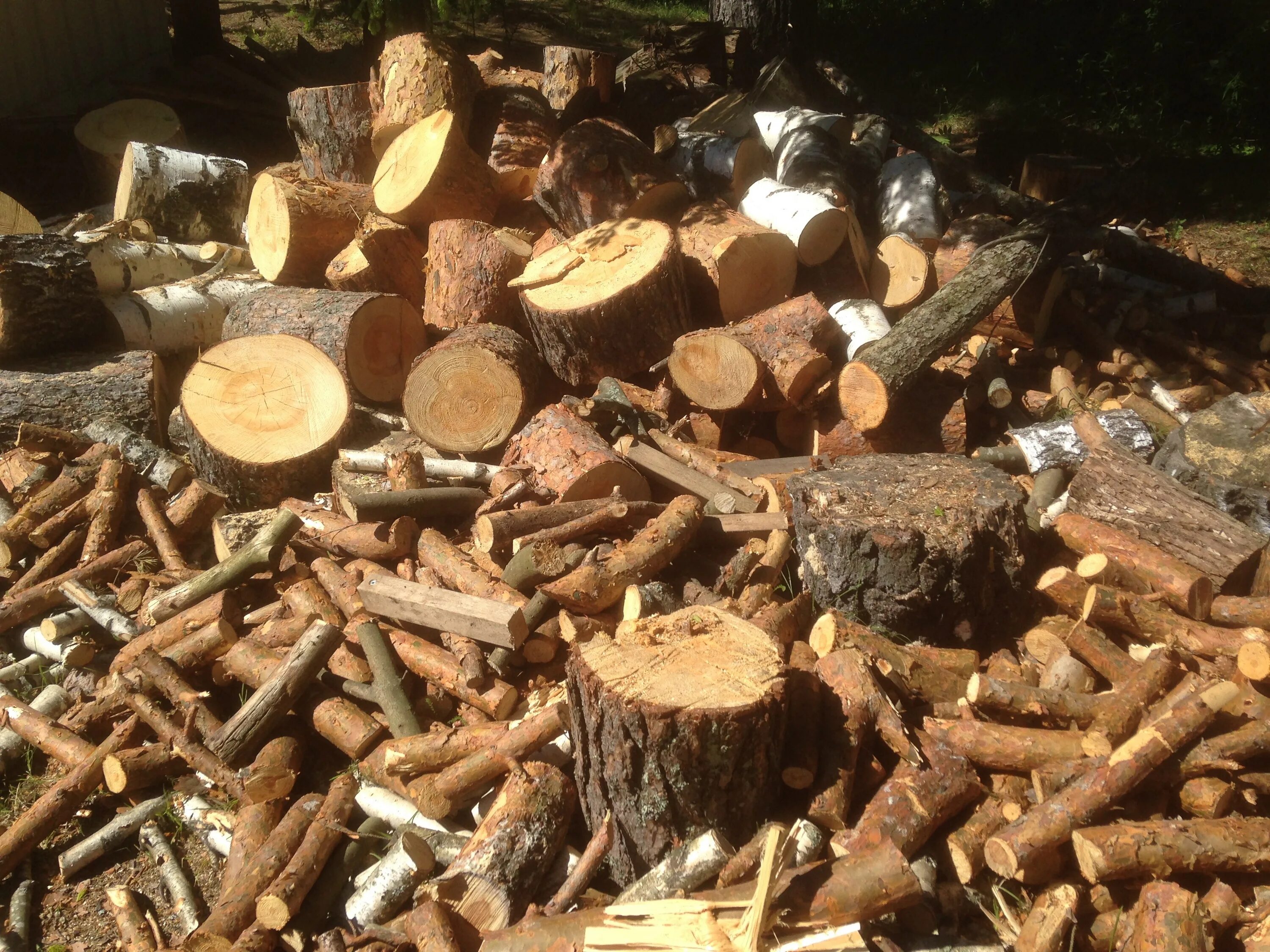 Dump logs