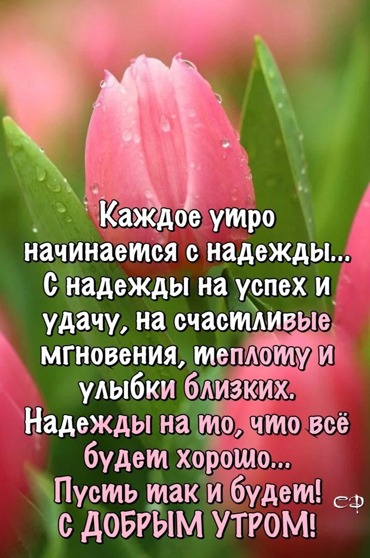 Доброе утро цитаты. Добрые пожелания и высказывания. Открытки с добрыми и мудрыми пожеланиями. Доброедоброе утро цитаты.