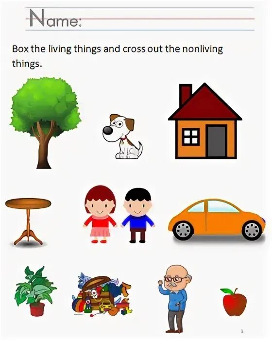 Living things and non Living things. Living things and non Living things Worksheets. Living non Living. Living non Living things for Kids. Living things around us контрольная работа