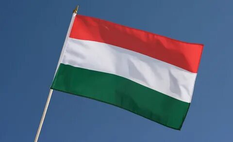 Государственный флаг красно бело зеленый