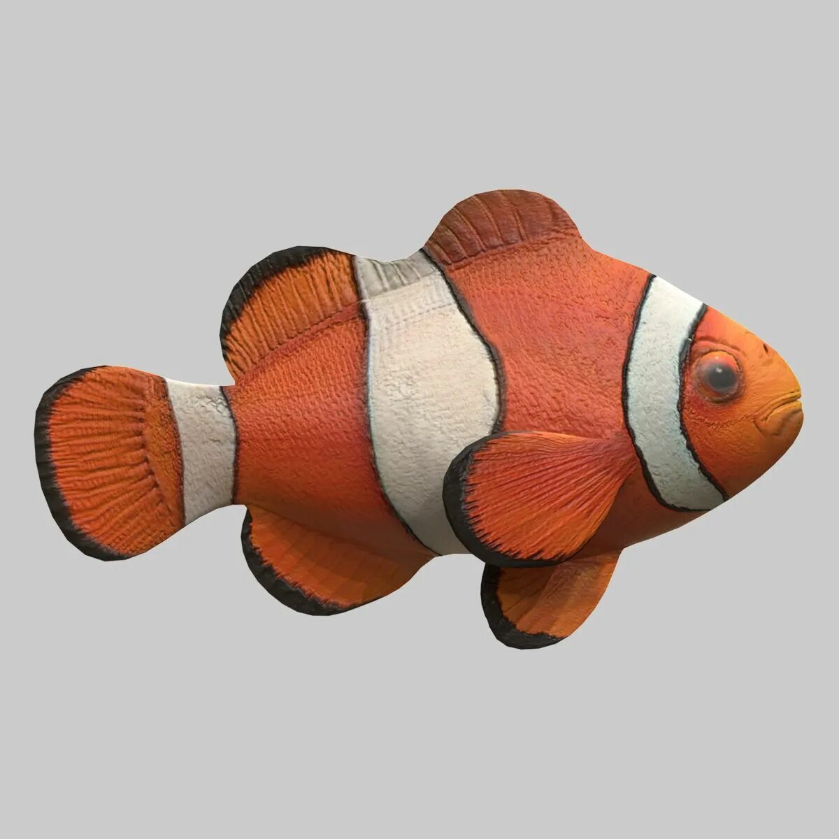 Рыба клоун оцеллярис. Рыба клоун 3д модель. Рыбка 3д модель. Модель рыбки. 3 д рыбка