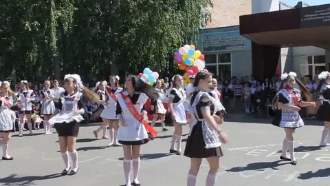 Школа 29 курск