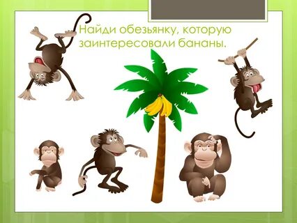 Найди обезьяну