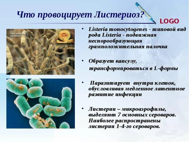 Листериоз лечение у человека. Листериоз этиология и патогенез. Листериоз бактерия. Листериоз у новорожденных клинические рекомендации.