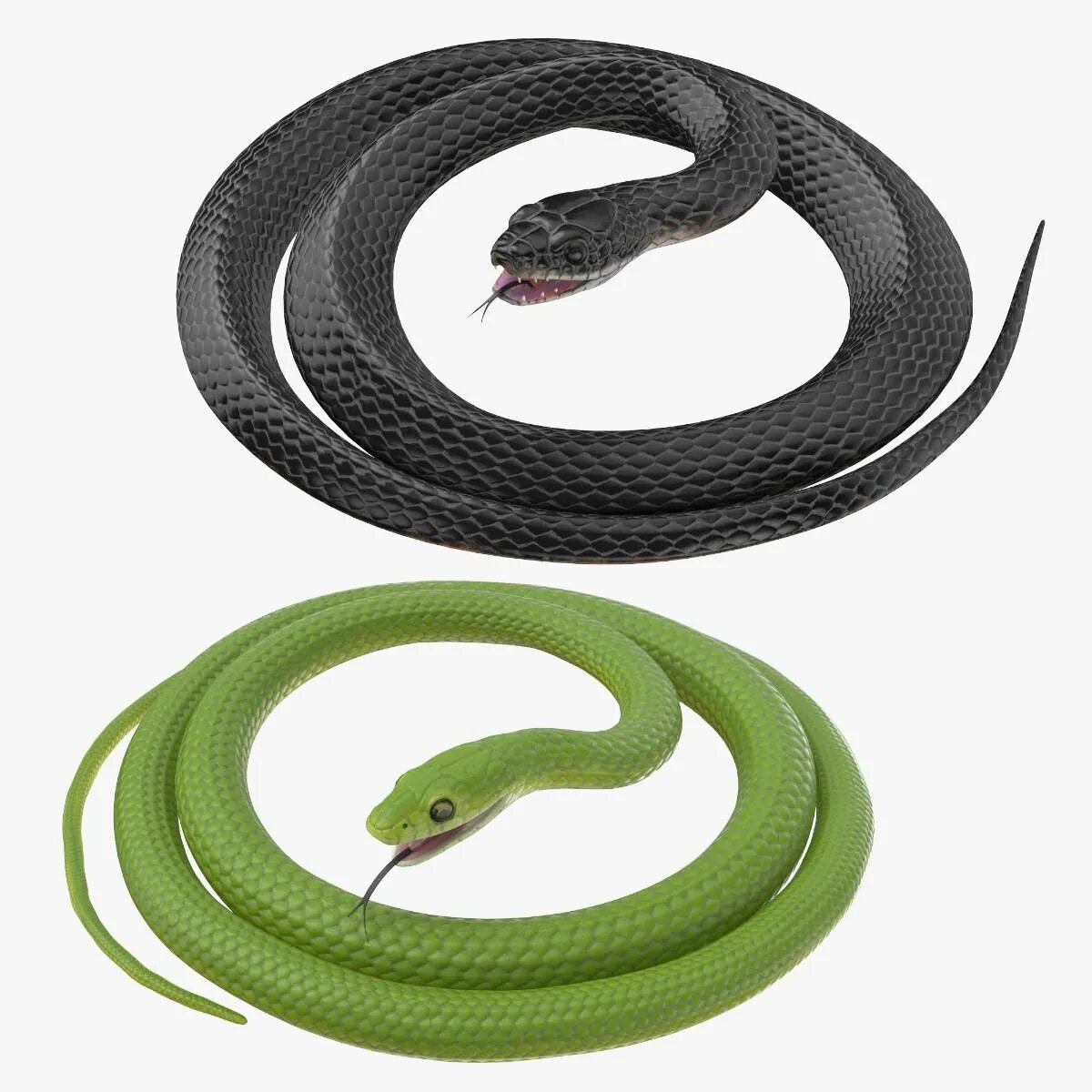 D snake. Модель змеи. Зеленая змея. 3d моделирование змеи. 3д модель змеи.