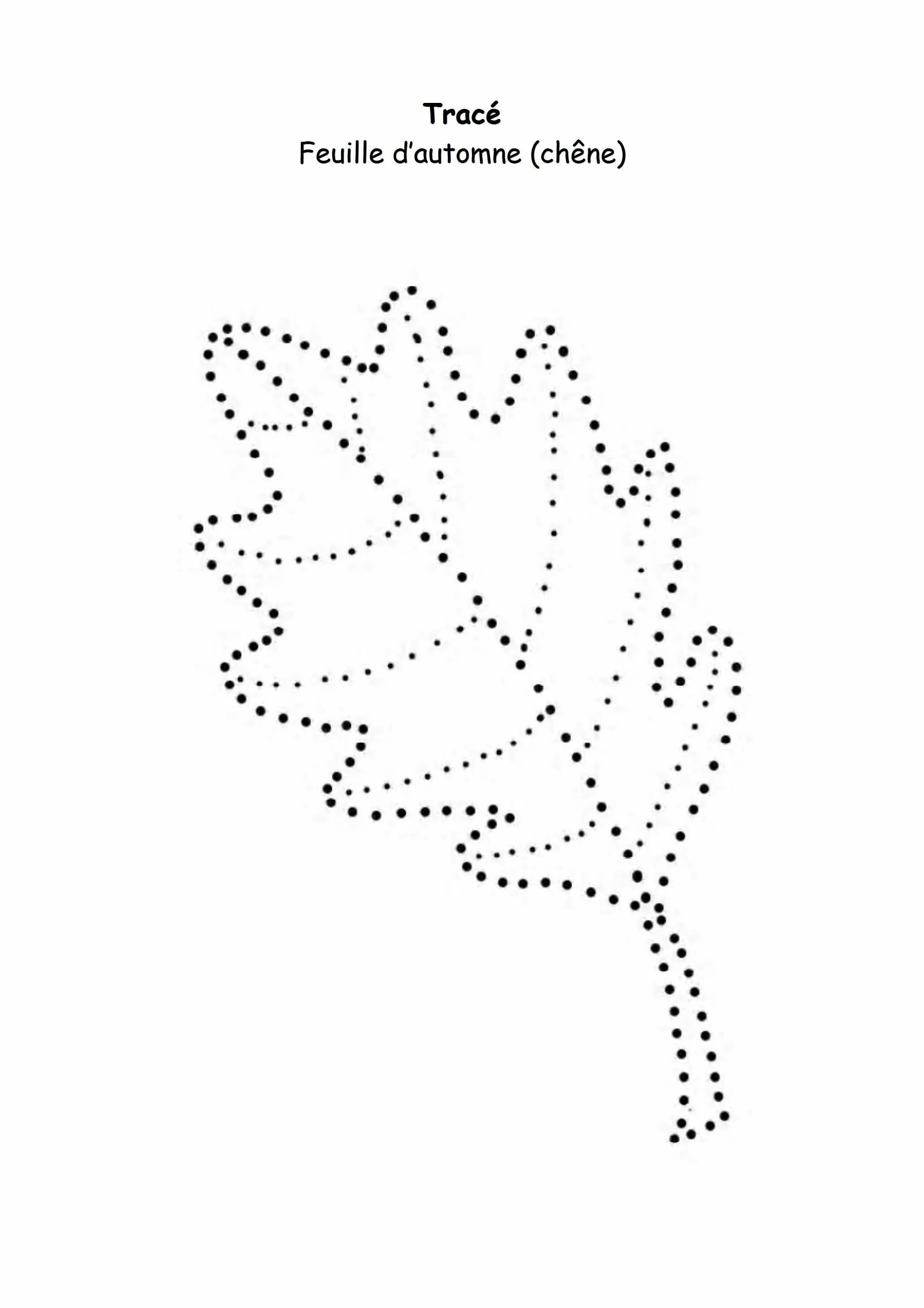 Листья деревьев по точкам. Листья деревьев по точкам. Соедини по точкам дерево. Рисование по точкам дерево. Соединить по точкам.