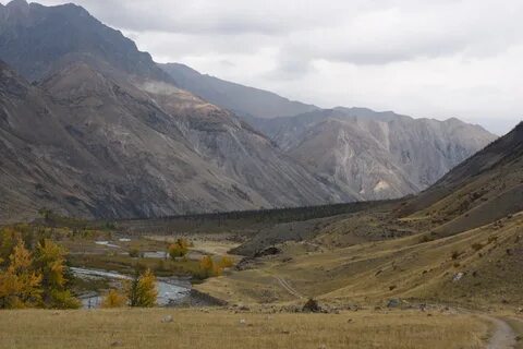 Золотые горы песни