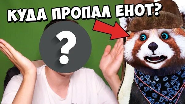 Говорящий енот. Говорящий енот