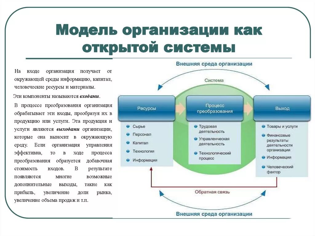 Схема организации как открытой системы. Модель открытой системы организации. Модель организации как открытой системы схема. Организация как открытая система схема.