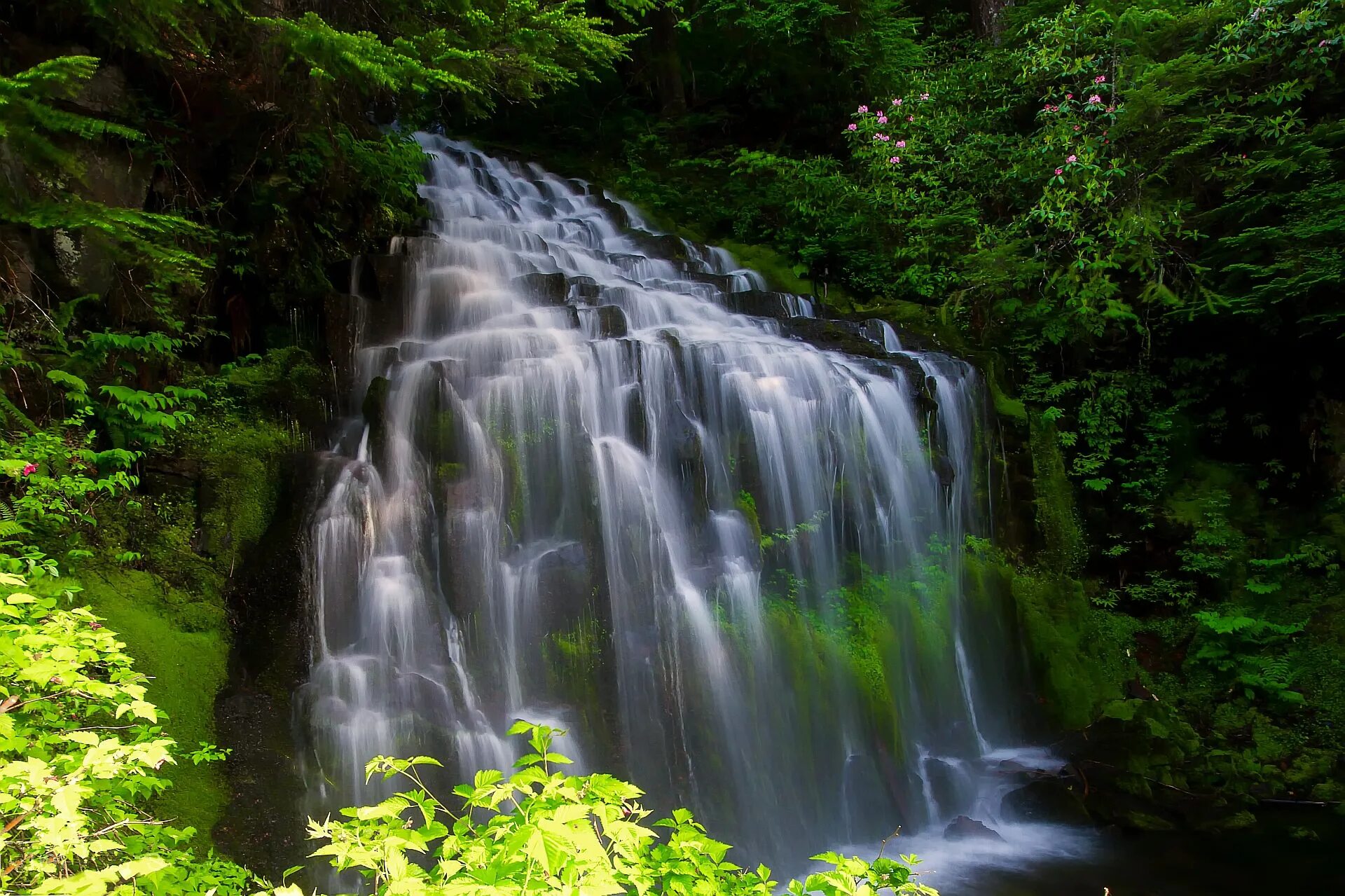 Cascade. Cascade водопад. waterfall каскад. каскадный водопад водопадный. каскадные водопады мартина.