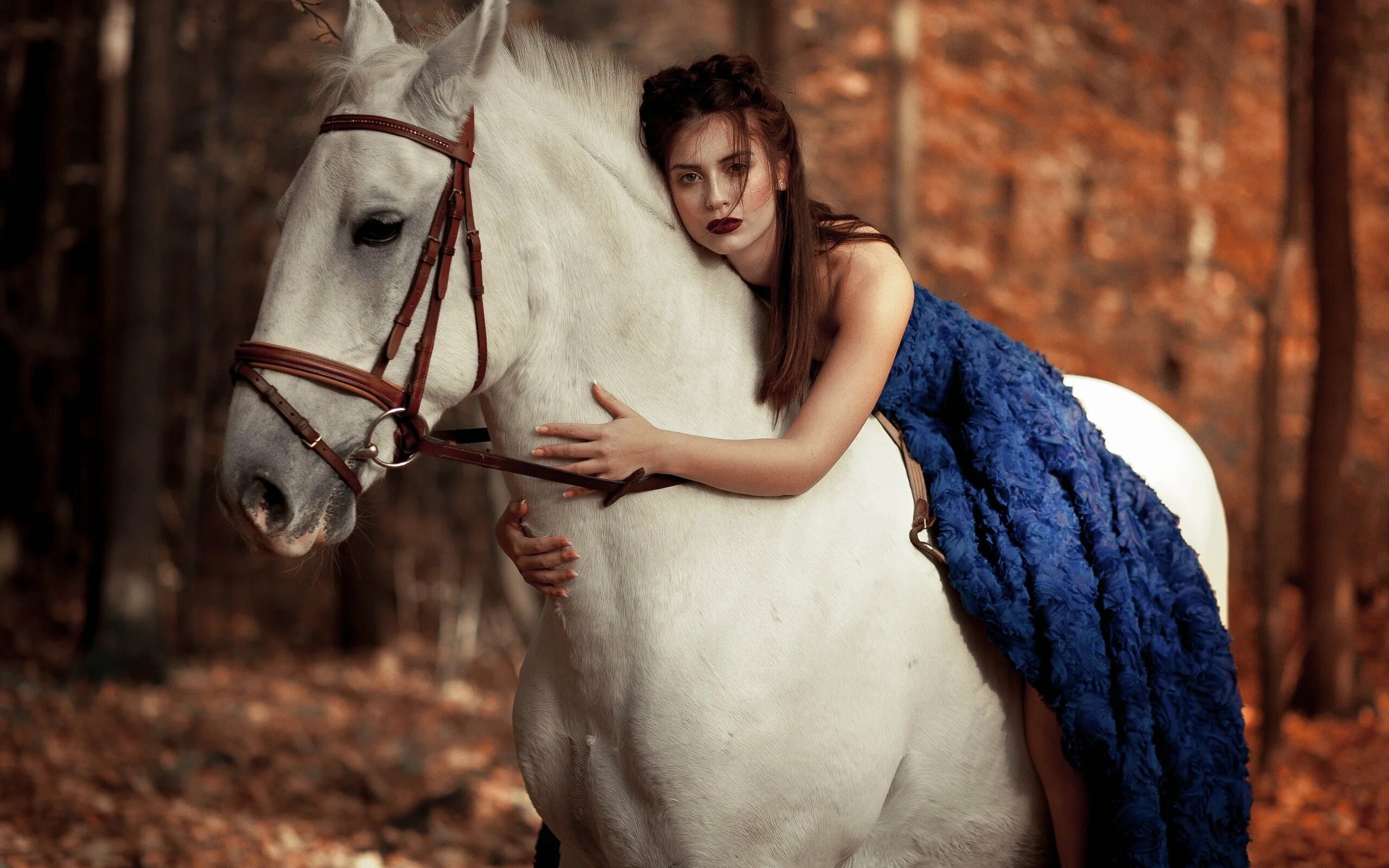 Девки и лошади. Девушка на коне. Девушка с лошадью. Фотосессия с лошадьми. Фотосессия с белой лошадью.