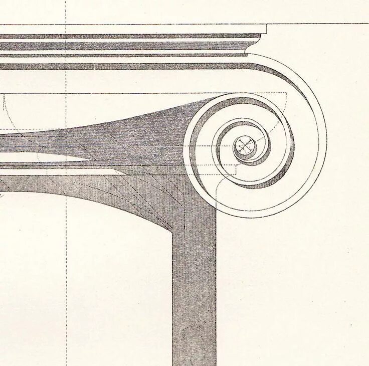 Валюта ордера. Капитель Ионического ордера. Колонна Ионического ордера. Капитель Ионического ордера чертеж. Ионический ордер ордерчб.
