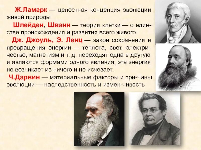 Эволюционная теория. Теория эволюционного развития. Возникновение теории эволюции. Создатели концепции процесса эволюции. Ученые современной теории эволюции