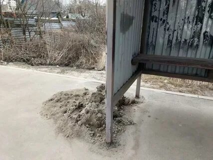 3 дождя брянск