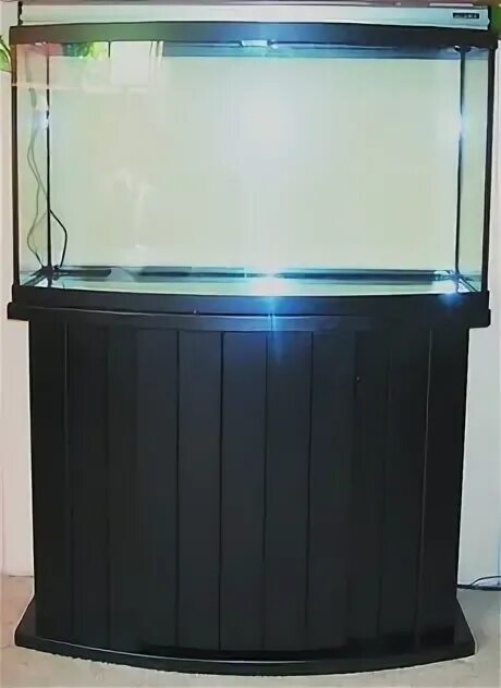 Аквариум читать. Аквариум читать. Аквариум читать. Капуста водная в акве. Аквариум книга.