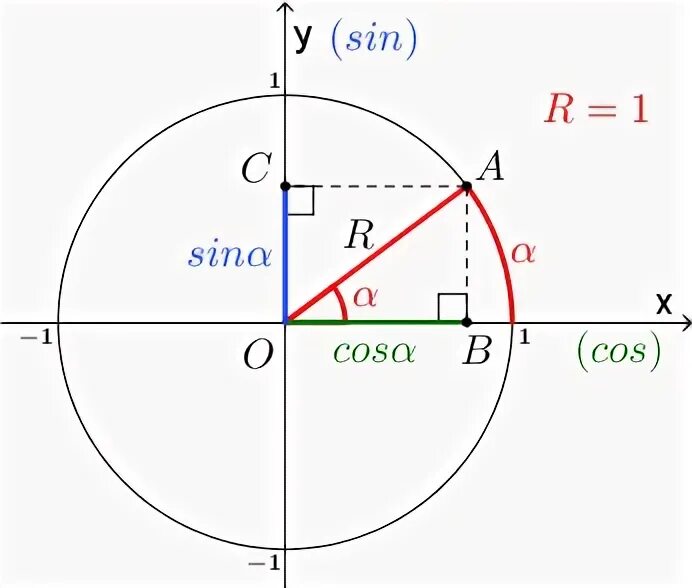 Проекция синуса и косинуса на ось. Тригонометрический круг синус и косинус. Единичная окружность косинус. Ось синусов и косинусов.