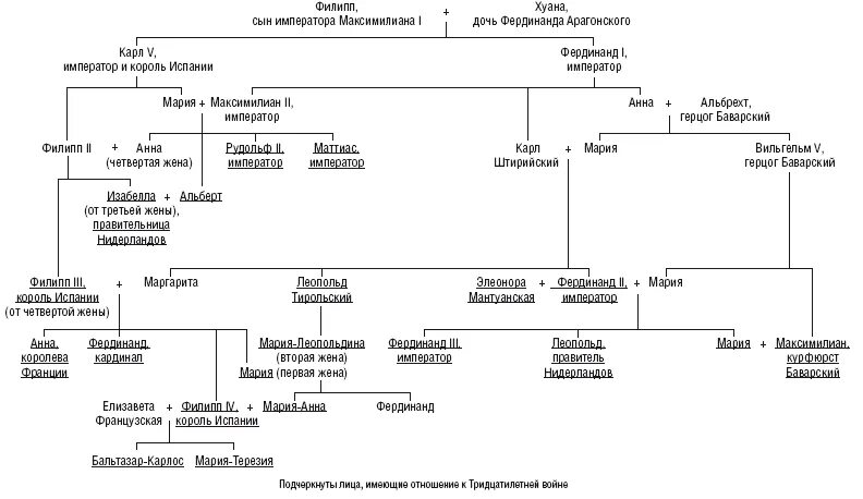 Родословная Габсбургов Династия. Родословная Габсбургов схема. Габсбурги генеалогическое Древо. Число габсбурга