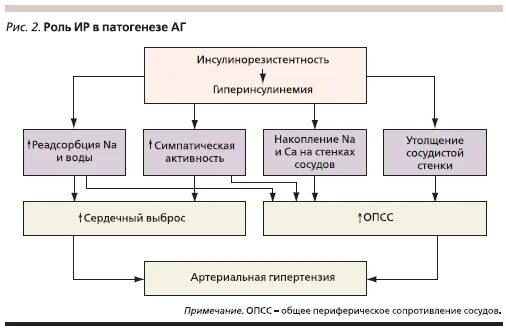 Роль ир. Роль ир. Роль ир. Роль ир. Роль ир.
