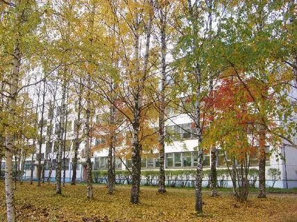 38 школа сыктывкар