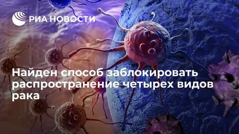 Мир погубит не рак
