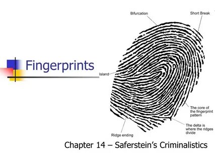 Getting fingerprint