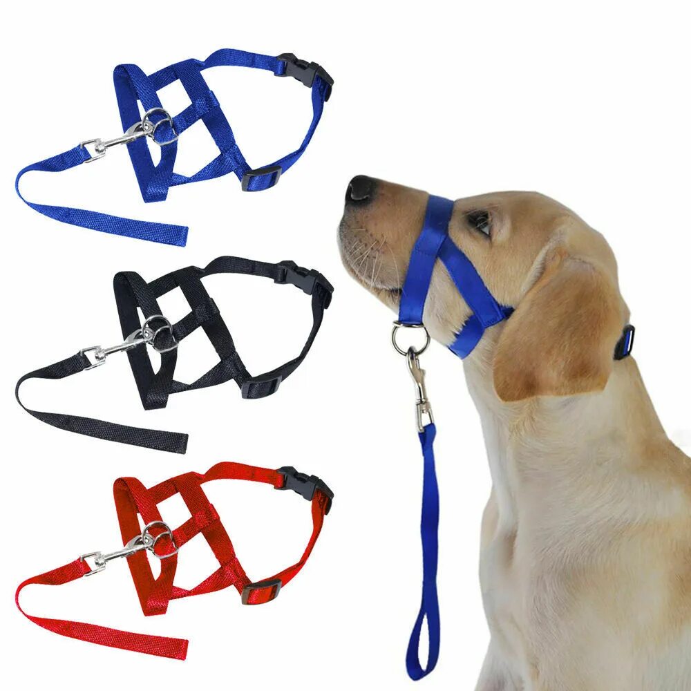 Плохая собака. Kruuse защитный воротник 7,5 см. Миска для медленного поедания корма собакой. Собака делает садку. Спрей mr.