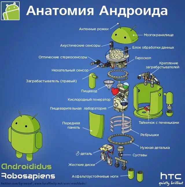 Анатомия андроида. Из чего состоит андроид. Строение андроида. Андроид схема.