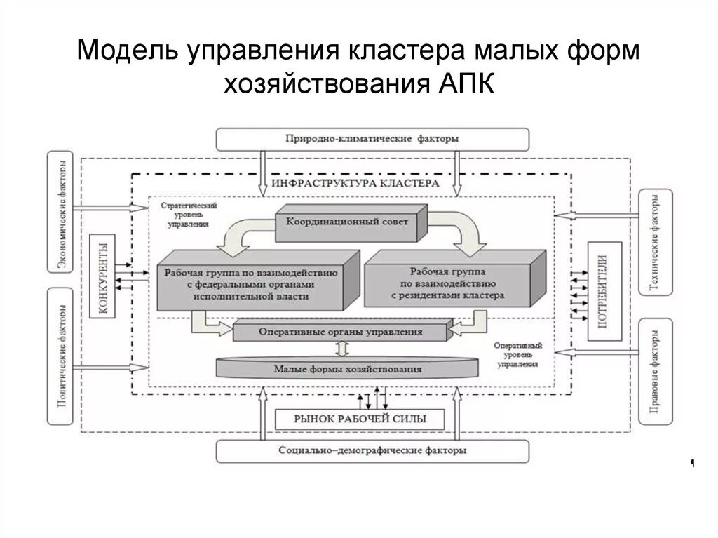 Состав кластеров. Схема органов управления АПК. Кластерная модель управления. Модель экономического кластера. Структура кластера.