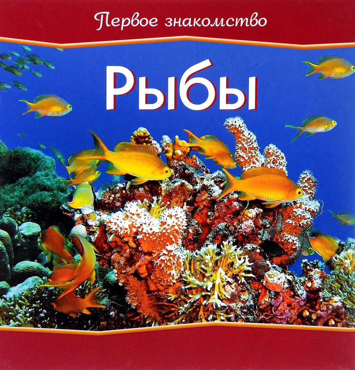 Книги про рыб. Книжка про рыб. Детские книги про рыб. Книга про рыбок. Рыба книги купить