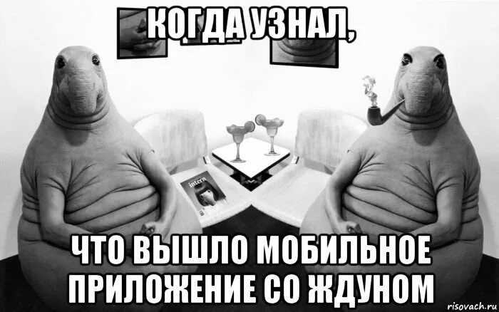 Когда выйдет ждун. 2 ждуна. ждун прикольный. интернет-мем ждун. два ждуна вместе.