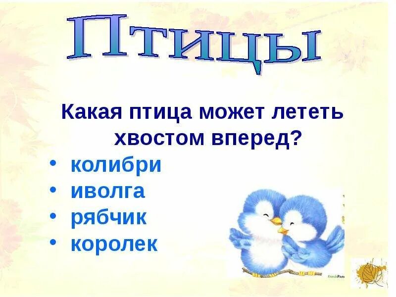 Какая из перечисленных птиц не летает. Какая птица летает хвостом вперед. птица летящая хвостом вперед. какая птица может летать хвостом вперед ответ. если птица летит хвостом вперед.