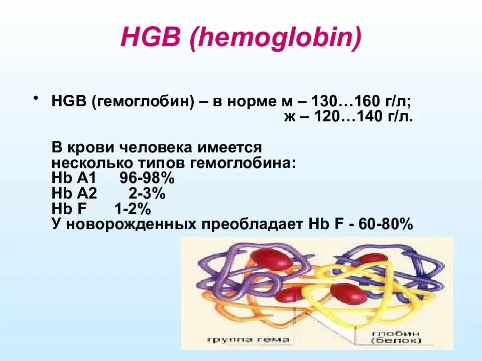 Hgb в крови мужчины. Гемоглобин HGB. HHB гемоглобина. Гемоглобин HGB норма. HGB, hemoglobin норма.