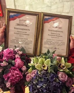 Благодарность правительства