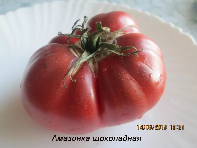 Томаты амазонка. Томат шоколадная амазонка. томат шоколадная глыба. томат шоколадный мязина. томат амазонка шоколадная 0,1г седек.