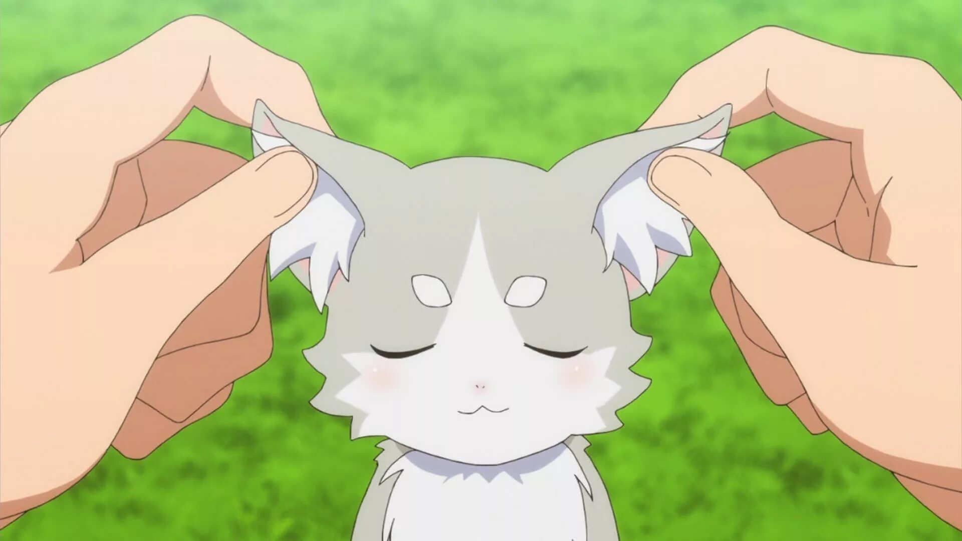 Пак ре зеро. Жизнь в альтернативном мире с нуля пак. Puck re zero. Пак ре зеро. Ре зеро кот эмилии.