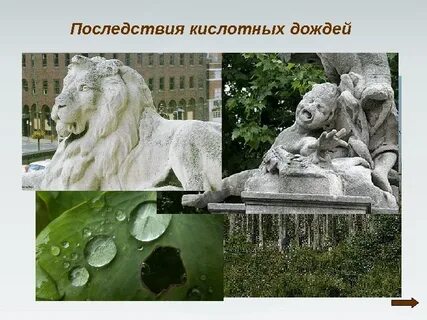 Отрицательные последствия кислотных дождей