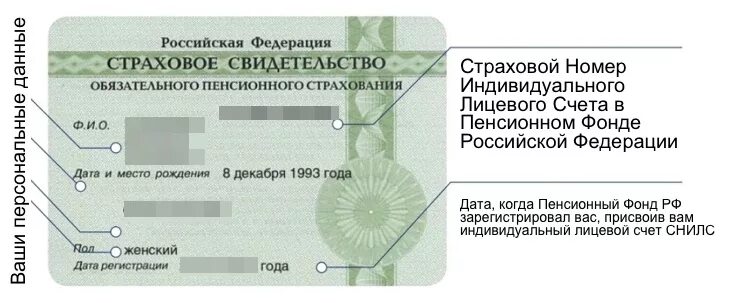 Номер страхового фонда. Индивидуальный лицевой счет СНИЛС. Номер СНИЛС. Страховой номер индивидуального лицевого счета СНИЛС. СНИЛС это страховое свидетельство.