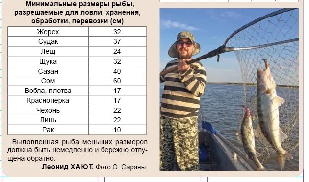 Правила любительского рыболовства в ростовской области. Размер вылавливаемой рыбы. Разрешённый размер вылавливаемой рыбы. Норма ловли рыбы. Допустимый размер выловленной рыбы.
