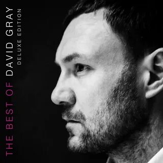 David gray